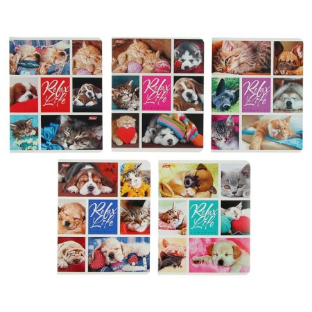 Notebook 24 sheets, in a cage, Relax Life, Cover Cover Cardboard, Offset Block, Mix
