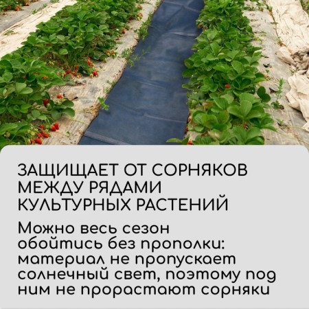 Protective strip for aisles, 5 × 0.3, density 80 g/m², spanbond with a UV stabilizer, black, Greengo, economy 30%-5