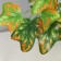Bonsai in the Pot "Singonium Eleagant" 9x19 cm, green