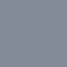 Paper Falcon Eyes Backdrop 2.72x10, gray color