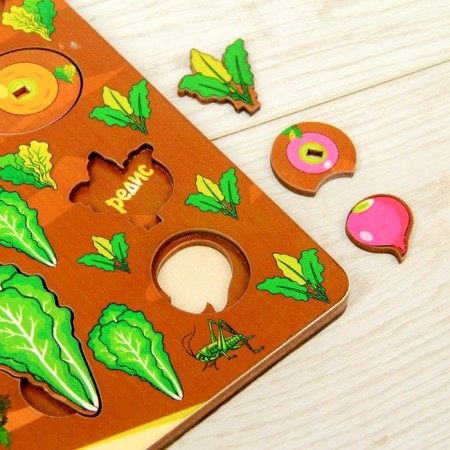 Set "Vegetables in the garden"-1