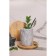 Tining devices Magistro, 15 × 12 cm, white color