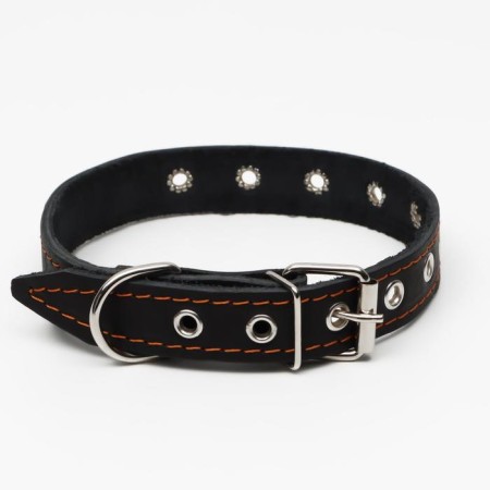 Collar leather single-layer, dimensionless, 56 x 2.5 cm, Osh 17-44 cm, black-1