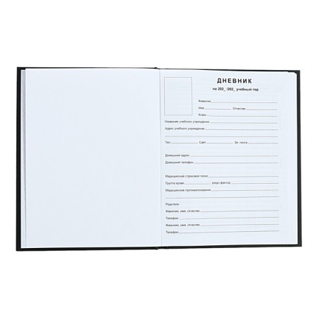 Universal Diary 1-11 Grade "You are cool", 40 sheets, hard cover, glossy lamination, embossing gold foil, OFSET BLOCK-3