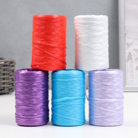 Yarn "for knitting mochelles" 100% polypropylene 400m/100 ± 10 g (set 5 pcs. Color mix)