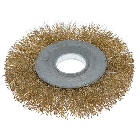 Metal brush for ushm scrap, flat, landing 22 mm, 100 mm