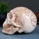 Pigger "Skull" Beige, 17x13cm