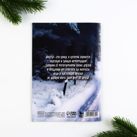 New Year. Questionnaire A5, 16 sheets, soft cover, "cool guy"-10