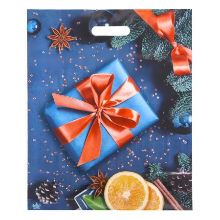 Package "Gift with oranges", polyethylene with a cut pen, 47.5x39 cm, 60 μm