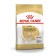 Dry feed RC Chihuahua Adult for Chihuahua, 3 kg