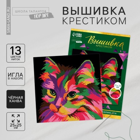 Cross -stitch on the black canvas "Multi -colored cat", a set for creativity, 25 x 25 cm