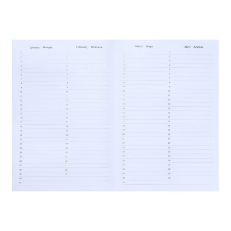 Leduced Diary A5, 160 sheets, attomex.Rigent, solid boumvinyl cover with foam rubber, liesse, block 70 g/m2, silver-8