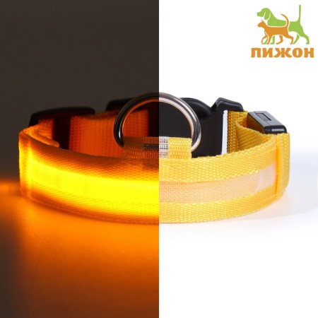 Collar with backlight size S, Osh 35-43 x 2.5 cm, 3 glow modes yellow