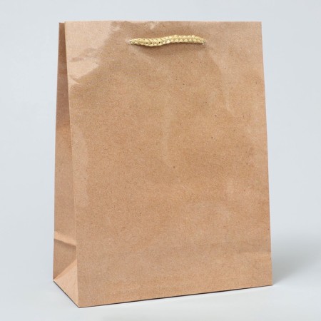 Gift Package Laminated, Packaging, Kraft, MS 18 x 23 x 8 cm-1