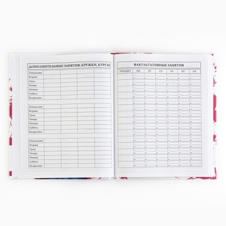 School diary 5-11 grade, in a solid cover, 48 liters. "Style"-4