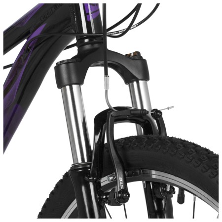 Bicycle 26 "Stinger Laguna Std, purple color, p. 17"-4