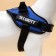 C9 sloping is soft reflective, size m, og 55-65 cm, weight 11-20 kg, blue