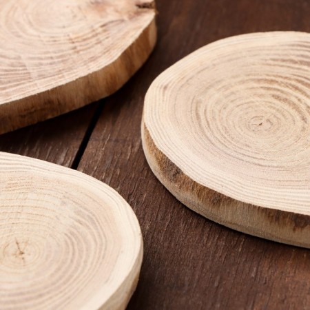 Oak slice 8x10x1, set 3 pcs.-1