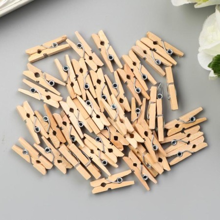 Decor for creativity tree "clothespin" (set 40 pcs) 2.5x0.8 cm-2