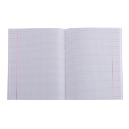 Notebook of 48 sheets in the Calligrata Avocado cage, covered cardboard, OFSET block, mix-1