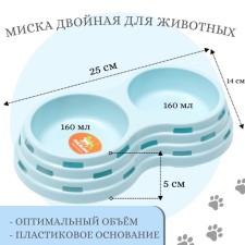 Board of plastic plastic double 2 x 160 ml, 25 x 14 x 5 cm, blue