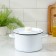 Pan, 2.9 l, induction, metallic cover, mix color