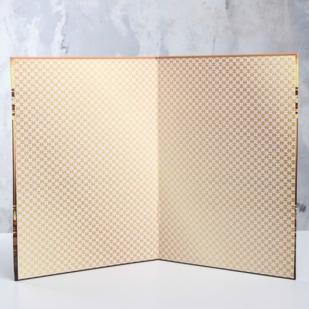 Folder Planet, A4 format "Graduate Diploma" columns, curtain, globe-1