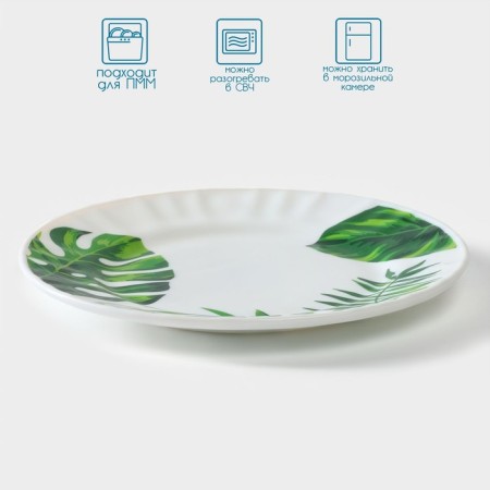 Pileplane “Papornipot sheet”, D = 15 cm, glass -ceramic, white color-1