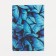 Cover for passport, blue color
