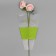 Packet stoop for flowers, with non -woven material, 26+7x37 cm, light green