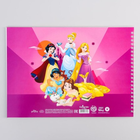 Album for drawing A4, 40 sheets 100 g/m², on the spring, princesses-2