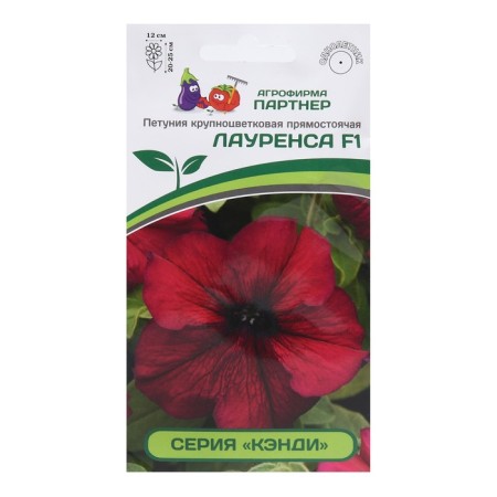 Laurence Petunia flowers, F1, erect, Burgundy,