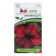 Laurence Petunia flowers, F1, erect, Burgundy,