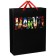 Laminated vertical package 31x40x11.5 cm, mix