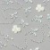 Stick plastic rhinestones on the hair "White butterflies" 21x15.5 cm