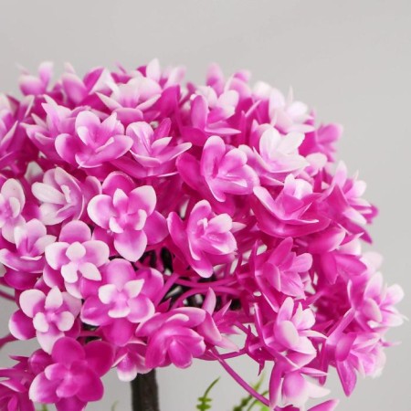 Бонсай "Пеларгония" 11х23 см, микс-1