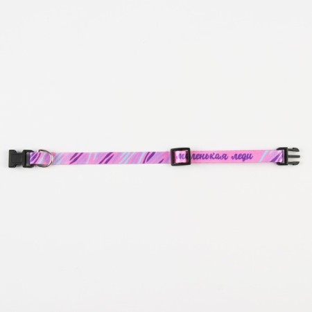 A collar for dogs and cats with Fasteks "Little Lady", 30x1 cm-5