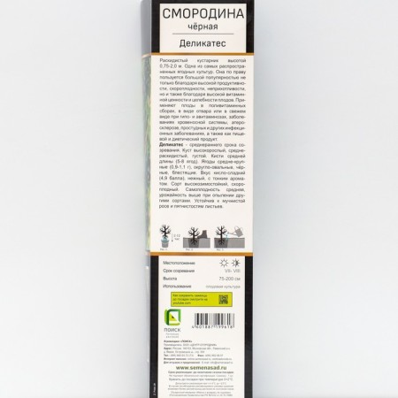 Currant Black Prospective varieties "delicacy", 1 pc, tube, spring 2025-1