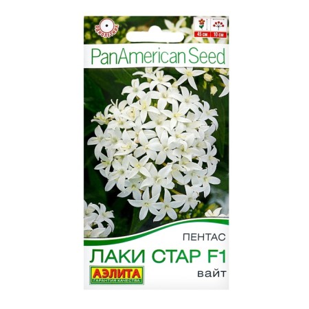 Flowers Pentas "Lucky Star" F1 White, C/P, 3 pcs