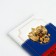 Cover for passport, Tricolor color
