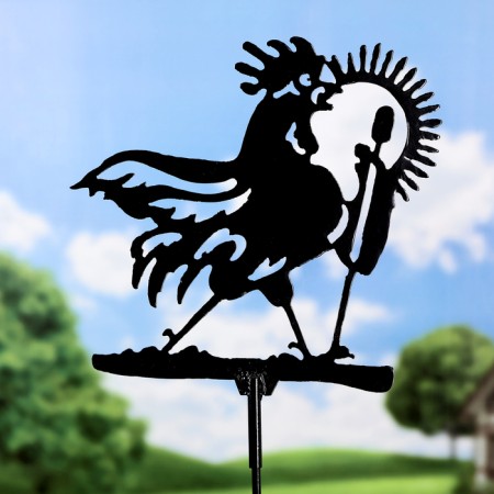 Blueger "Rooster Superstar" average 30*40 cm-1