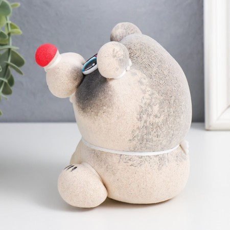 Growing gift Eco -Zhizhivchik "raccoon" mix-3