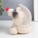 Growing gift Eco -Zhizhivchik "raccoon" mix