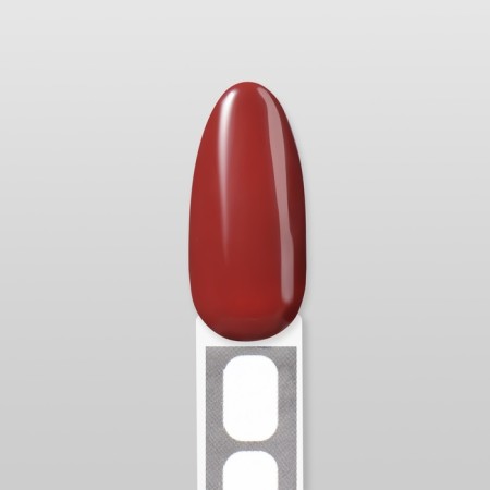 Simple nail polish gel, 3 phase, 10 ml, led/uv, color (123)-15