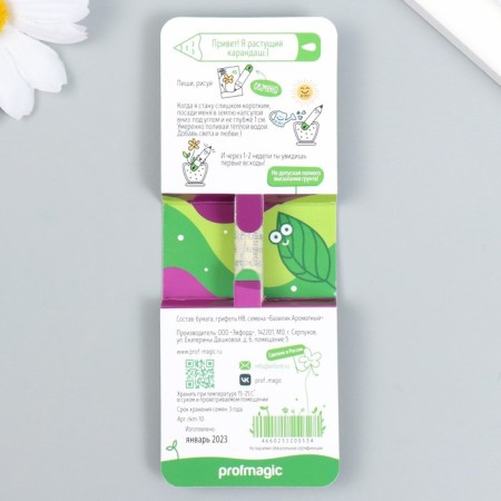 Growing gift pencils Mini "Basil"-1