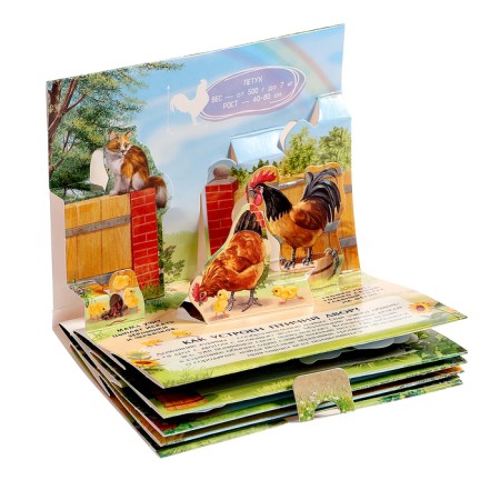 Set "Pocket Pop-up Encyclopedia", set No. 2-11