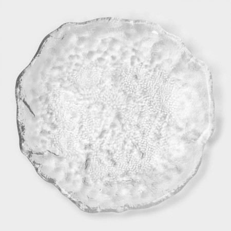 Glass supply dish "Rifaltaro", D = 14.5 cm, 14.5 × 1.7 cm-7