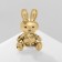 Back "Bunny" toy, color matte gold