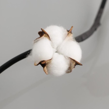 Tings "cotton" 150 cm-2