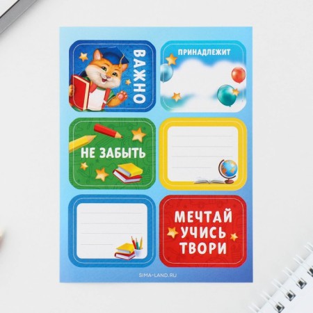 Gift set for graduation in the folder of 7 items "Graduate of kindergarten"-8